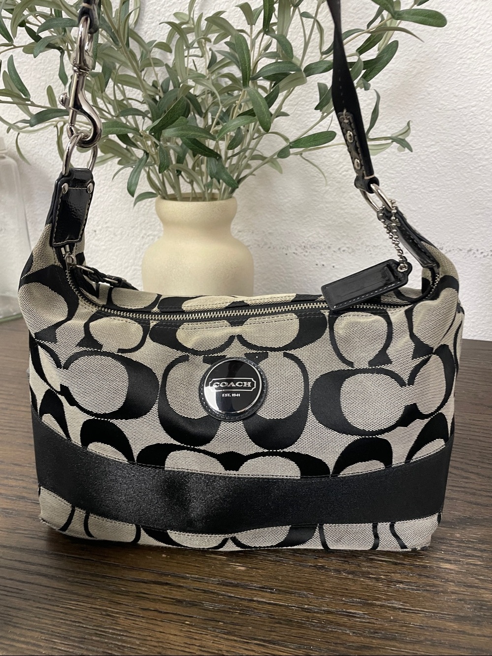 Coach Y2K purse F17434